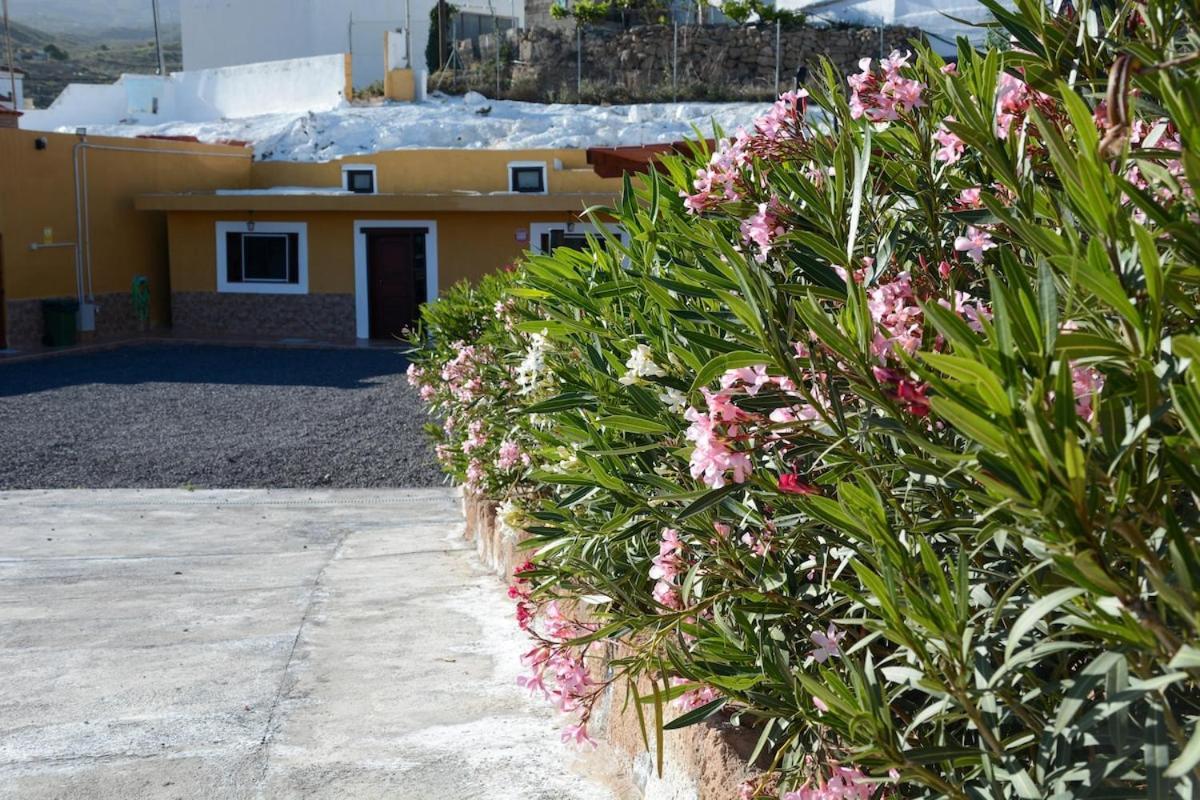 Casa Cueva Los Mansos Santa Cruz de Tenerife Exterior foto
